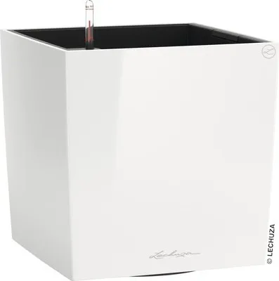 Obrázek produktu pro LECHUZA CUBE 40, Květináč, Volně stojící, Polypropylen (PP), Bílá, Vnitřní, Černá