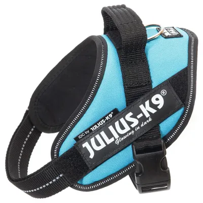 Produktbild von Julius K9 - Hundegeschirr - aqua - Mini - 49-67 cm