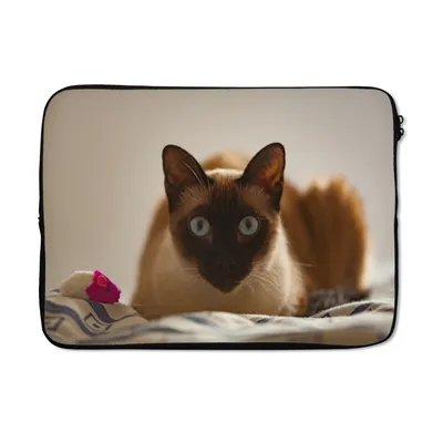 Produktbild von MuchoWow® Laptop Hülle 13 Zoll Siamkatze auf dem Bett Laptoptasche - Laptophülle - Sleeve - Rundumschutz