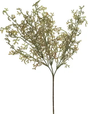 Produktbild von artplants.de Deko Zweig Asparagus acutifolius CHENMU, grün-rot, 50 cm - Zierzweig künstlich