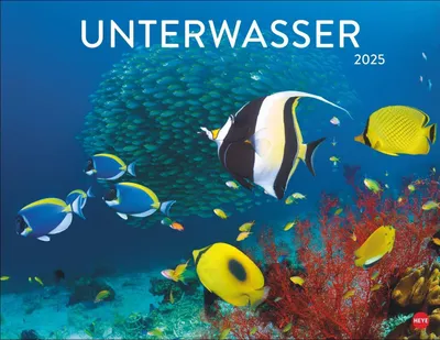 Produktbild von Unterwasser Posterkalender 2025