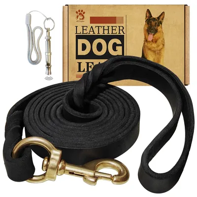 Immagine prodotto di MERUOGKAR, guinzaglio in pelle per cani, 1,5 m x 1,9 cm, realizzato in vera pelle resistente e durevole