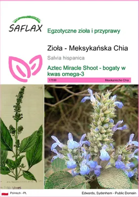 Zdjęcie produktu dla SAFLAX - Zioła - Meksykańska Chia - 500 Nasiona - Salvia hispanica