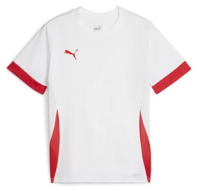 Produktbild von PUMA teamGOAL Matchday Jersey jr
