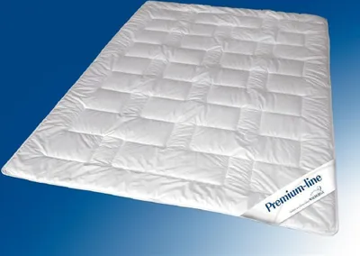 Produktbild von Walburga Bettdecke, Steppbett Premium Line Edel Batist / Thinsulate 4 WP Duo 155 x 220 cm