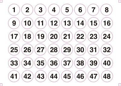 Immagine prodotto di Set composto da 2 fogli identificativi autoadesivi in formato A5 con numeri circolari da 1 a 48 Edm