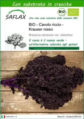 Immagine prodotto di SAFLAX -- Cavolo riccio - Krauser rosso - 50 semi - Con substrato - Brassica