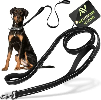 Productafbeelding van Hondenriem met korte handgreep - reflecterend - 1,5 m lang - voor middelgrote en grote honden - nylon