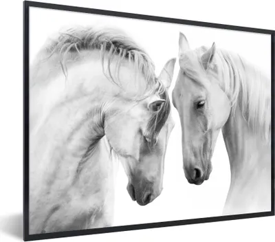 Produktbild von MuchoWow® Gerahmtes Poster Pferd - Tiere - Porträt - Weiß 80x60 cm - Poster mit Schwarzem Bilderrahmen Wandposter Rahmen Foto Bilder - Schwarzem - Mit Gestell