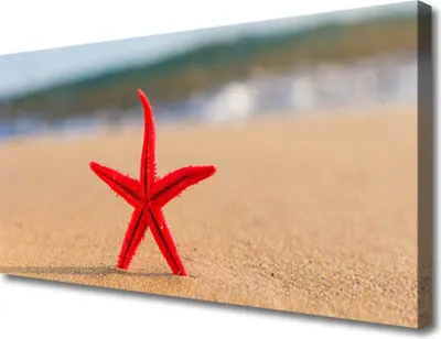 Produktbild von Tulup Leinwand-Bilder 100x50 Wandbild Canvas Kunstdruck Strand Seestern Kunst