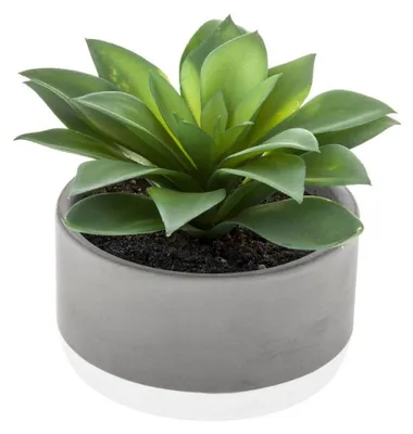 Image de Plante grasse artificielle - D 12 x H 13 cm