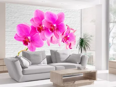 Produktbild von Vlies Fototapete Blumen 400x280 cm – Moderne Vliestapete, Tapete für Wohnzimmer, Wanddeko, Flur, Büro, Wandtapete für Schlafzimmer 10110906-101