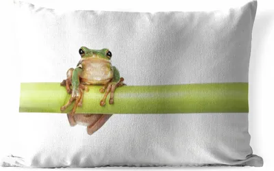 Produktbild von MuchoWow® Outdoor Kissen - Frosch - Bambus - Weiß - 60x40 cm - Wetterfest - Lounge Kissen - Zierkissen - Kissen für Innenräume