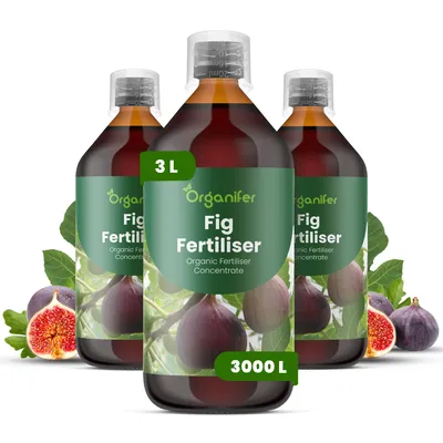 Obrázok produktu pre Fig Tekuté hnojivo 3x1 L – 2-1-8 (NPK) – Pre figy a ovocné rastliny – Podporuje silný rast, zdravé listy a kvalitu plodov – Organický produkt