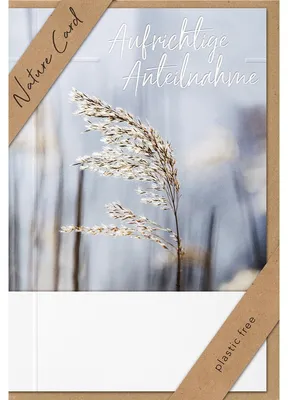 Productafbeelding van bsb 691008-2: Rouwkaart - Natuur kaart, inclusief envelop