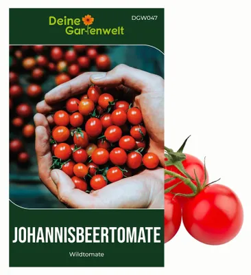 Produktbild von Johannisbeertomaten  Samen - Solanum pimpinellifolium - Johannisbeertomatensamen - Gemüsesamen - Saatgut für 8 Pflanzen