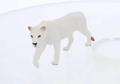 Produktbild von Mojo Fun White Lioness, 3 Jahr(e), Wildlife, Weiß, Schwarz, Polyvinylchlorid (PVC)