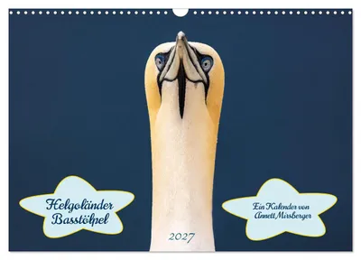 Produktbild von Helgoländer Basstölpel 2027 (Wandkalender 2027 DIN A3 quer), CALVENDO Monatskalender
