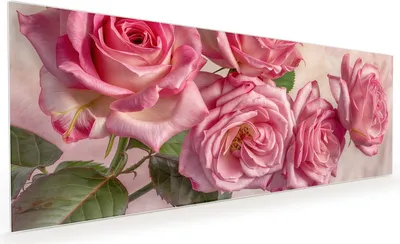 Produktbild von Küchenrückwand Spritzschutz Glas mit Motiv Rosenblütenpracht 40 x 40 cm