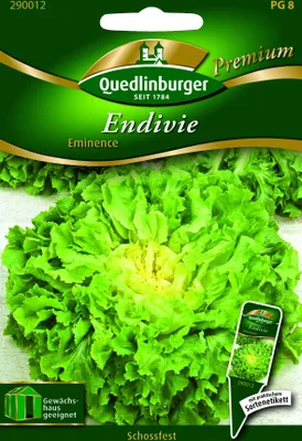 Produktbild von Endivie Eminence | Endiviensalatsamen von Quedlinburger