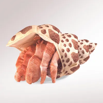 Produktbild von Folkmanis Hermit Crab, Fingerpuppe, Tier, 1 Stück(e)