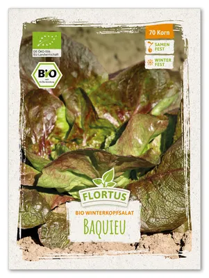 Artikelbild 1 von 'BIO Winterkopfsalat Baquieu' aus der Kategorie Kopfsalatsamen