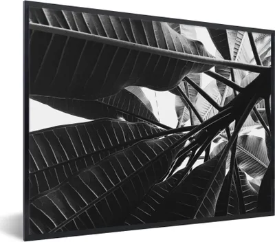 Produktbild von MuchoWow® Gerahmtes Poster Palmenblatt - Tropisch 80x60 cm - Poster mit Schwarzem Bilderrahmen Wandposter Rahmen Foto Bilder - Schwarzem - Mit Gestell