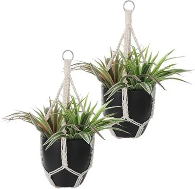 Image de Suspension pour plantes 50 cm, corde en coton beige, décoration d'intérieur