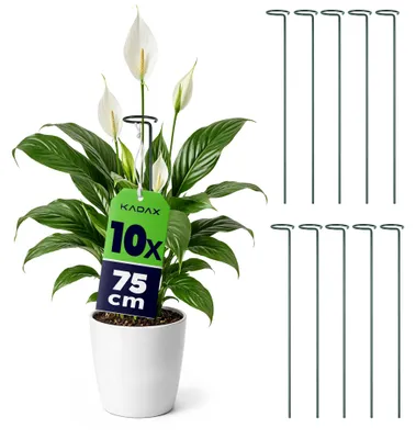 Zdjęcie produktu dla Podpory do roślin KADAX 75 cm, zestaw 10 sztuk, stalowe podpory do kwiatów, podpory do roślin doniczkowych, metalowe paliki do stabilizacji łodyg i kwiatów
