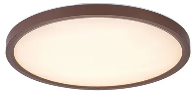 Productafbeelding van Rabalux Bruin plafondlamp LED Lautrec 400mm 24W IP44 CCT 75083