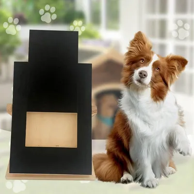 Produktbild von Hunde-Kratzbrett – Interaktive Pflegehilfe aus Holz mit verstecktem Leckerli-Fach, ausgestattet mit grober Schleifpapier-Oberfläche und Massivholzrahmen – Ideal für Strand, Park, Garten und Zuhause