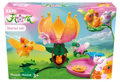 Produktbild von Flora - Starter-Set Blumenhaus