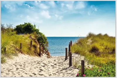 Produktbild von Wallario Wandbild Auf dem Sandweg zum Strand, Größe: 61 x 91,50 cm, Poster mit weißem Aluminiumrahmen