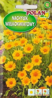 Zdjęcie produktu dla NASIONA Kwiatów Nachyłek Wielkokwiatowy Trwały 1g Kwiaty 308007