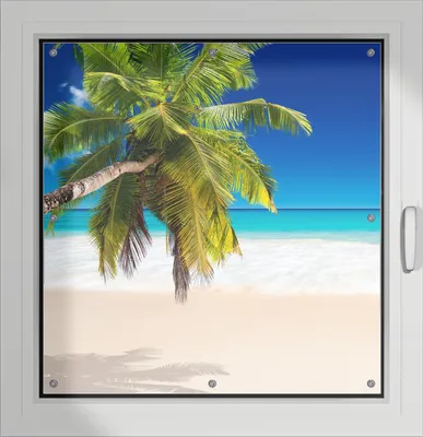 Produktbild von Wallario Lichtschutzbild, Dekorativer Sichtschutz Sonnenschutz 96 x 100 cm mit Motiv: Südseestrand in der Karibik mit Palme - Verdunklung ohne Bohren