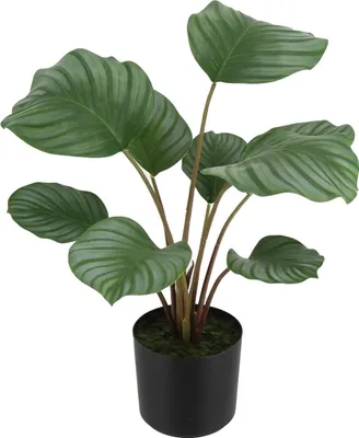 Produktbild von aplanta Künstliche Calathea - Silvina | 45 cm, Real Touch, für drinnen, Kunstpflanze, wie echt, Allergiker geeignet, pflanzliche Dekoration Praxis, Office & Wohnzimmer