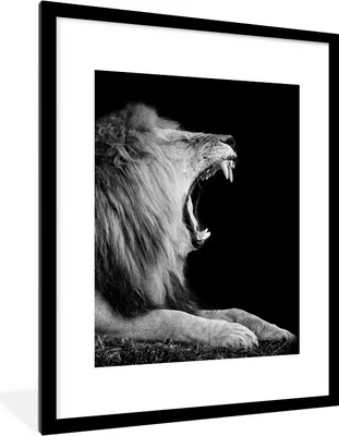 Produktbild von MuchoWow® Gerahmtes Poster Löwe - Wildtiere - Gras - Schwarz - Weiß 60x80 cm - Poster mit Schwarzem Bilderrahmen Wandposter Rahmen Foto Bilder - Wohnzimmer - Dekorationen - Prämie