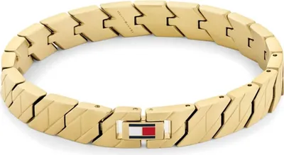 Immagine prodotto di Bracciale da uomo Tommy Hilfiger 1697258 Oro