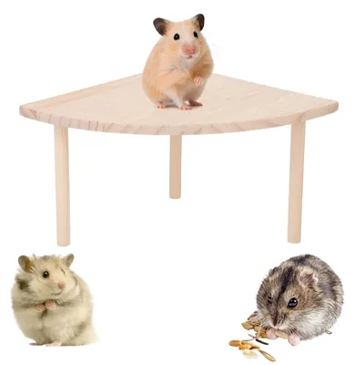 Productafbeelding van Hamsterhuis met Kletterladder en Tunnel van Hout voor Kleine Huisdieren