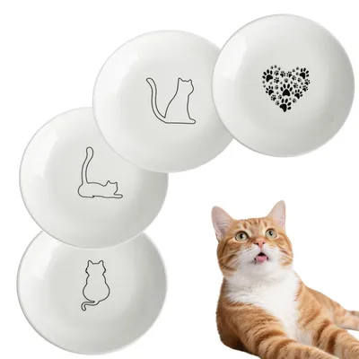 Image de Ensemble de 4 gamelles plates en céramique pour chats
