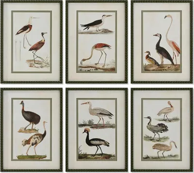 Produktbild von Bild Home ESPRIT Vögel Cottage 40 x 2,5 x 54 cm (6 Stück)