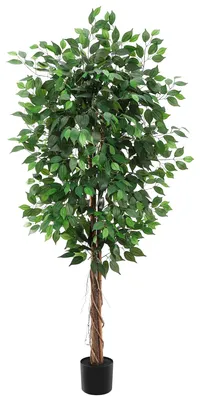 Zdjęcie produktu dla Sztuczna figowca, realistyczny wygląd, łatwa w pielęgnacji, 180 cm