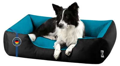 Produktbild von BedDog Hundebett LUPI Hundesofa Hundekissen waschbar,BLUE-SKY (schwarz/blau),(L) ca. 80x65x18cm