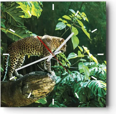 Produktbild von Wanduhr - Quadrat - Glasuhr - Dschungel Leopard Panther - 30x30cm - Schleichendes Uhrwerk - Lautlos - zum Aufhängen bereit - Dekoration Modern - Wanddekoration aus Glas - C3AC30x30-4502