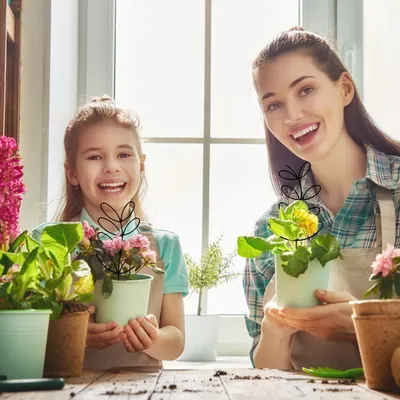 Immagine prodotto di Set di 4 supporti per piante d'appartamento - supporti da giardino in metallo e graticci per piante rampicanti