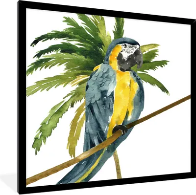 Produktbild von MuchoWow® Gerahmtes Poster Dschungel - Papagei - Zweig 40x40 cm - Poster mit Schwarzem Bilderrahmen Wandposter Rahmen Foto Bilder - Mit Rahmen - Wanddekoration Schlafzimmer