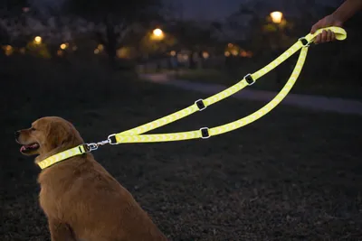 Produktbild von trainingsleine Hund - Fergu Fluo gelb - 200 cm x 25 mm - Nylon - 3-Fach verstell