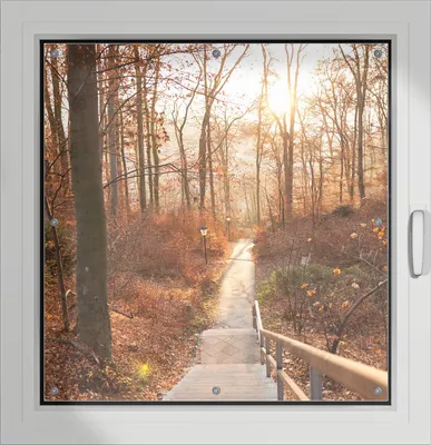Produktbild von Wallario Lichtschutzbild, Dekorativer Sichtschutz Sonnenschutz 96 x 100 cm mit Motiv: Weg in den Sonnenuntergang - Verdunklung ohne Bohren