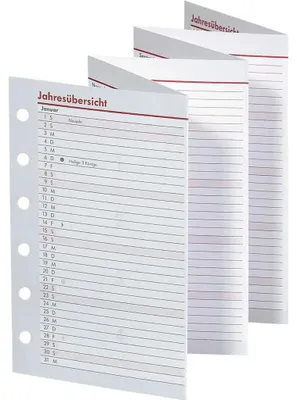 Immagine prodotto di bsb 02-0285 Ersatzkalendarium "Pocket" - A7, Jahresübersicht