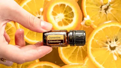 Produktbild von Doterra Clementine Citrus clementina ätherisches Öl 5 ml